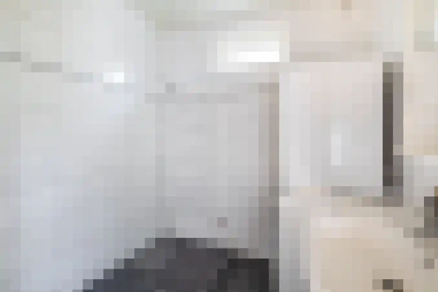 Oostelijke Achterweg 40 Sommelsdijk thumbnail 21