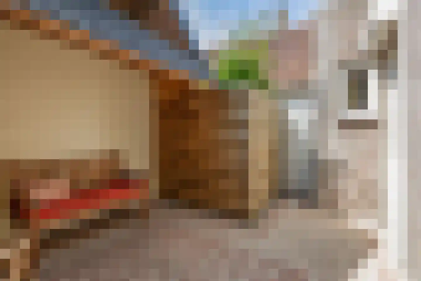 Oostelijke Achterweg 40 Sommelsdijk thumbnail 28
