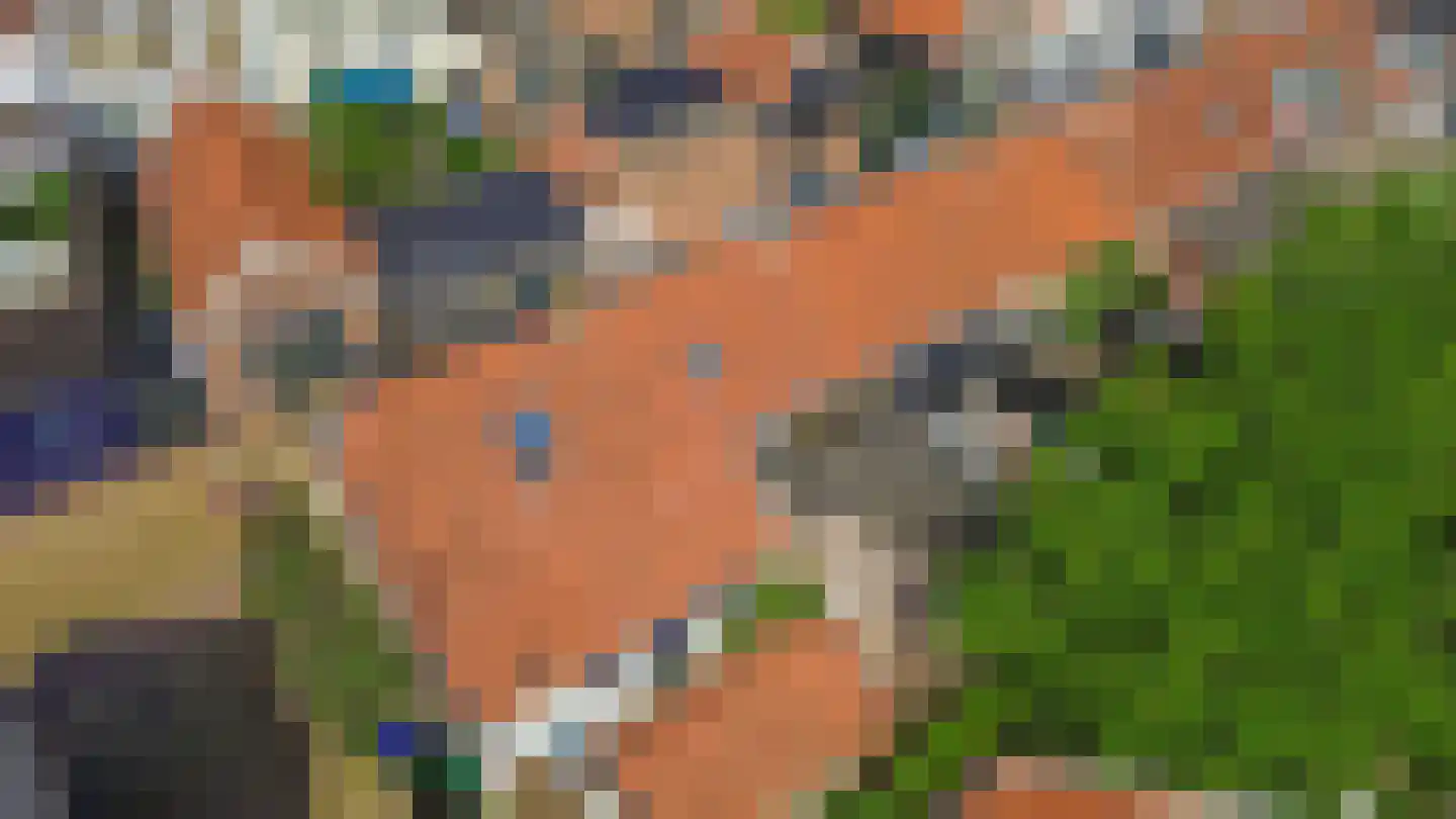 Oostelijke Achterweg 40 Sommelsdijk thumbnail 31