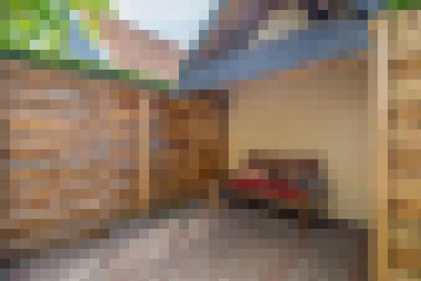 Oostelijke Achterweg 40 Sommelsdijk thumbnail 4