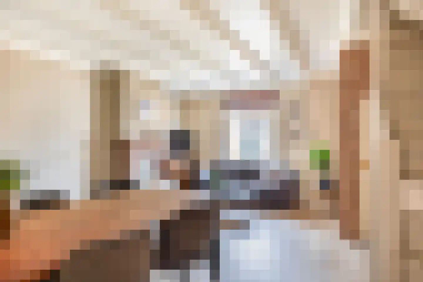 Oostelijke Achterweg 40 Sommelsdijk thumbnail 9