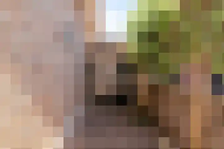 Oostelijke Achterweg 6 Sommelsdijk thumbnail 10
