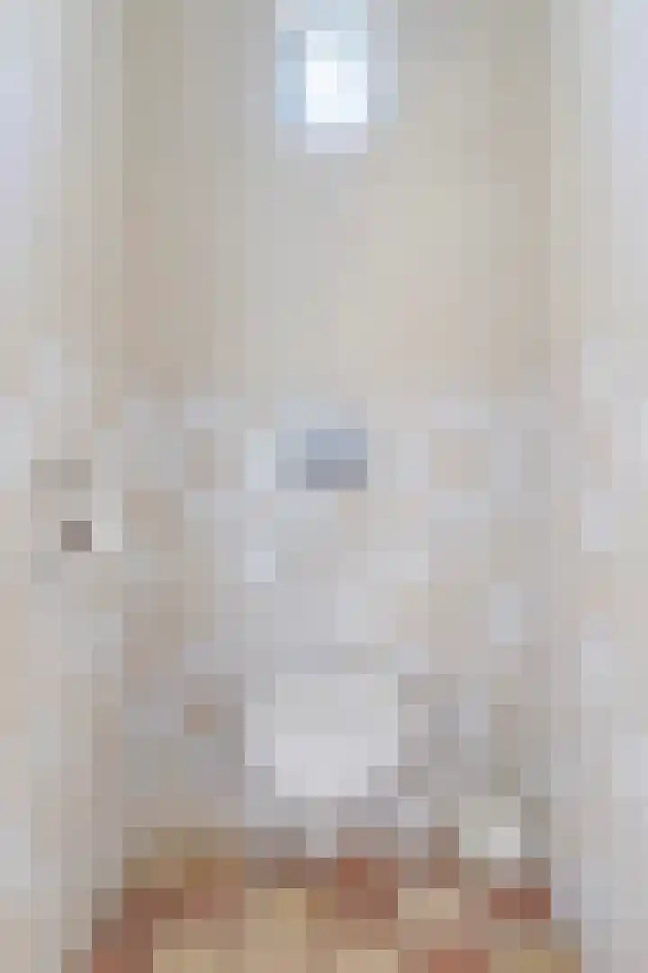 Oostelijke Achterweg 6 Sommelsdijk thumbnail 15