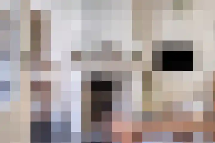 Oostelijke Achterweg 6 Sommelsdijk thumbnail 16