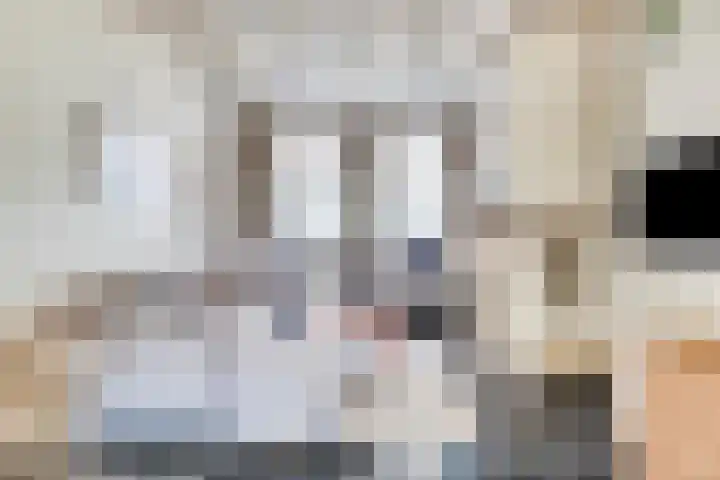 Oostelijke Achterweg 6 Sommelsdijk thumbnail 17