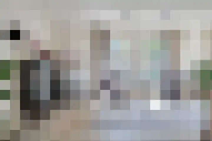 Oostelijke Achterweg 6 Sommelsdijk thumbnail 18
