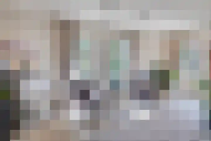 Oostelijke Achterweg 6 Sommelsdijk thumbnail 19