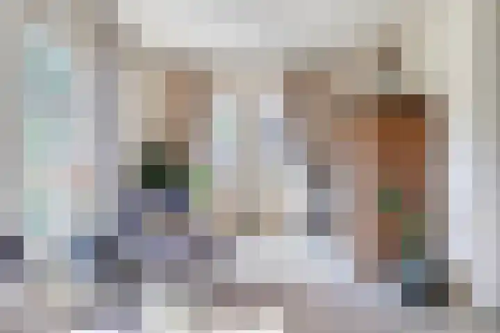 Oostelijke Achterweg 6 Sommelsdijk thumbnail 20