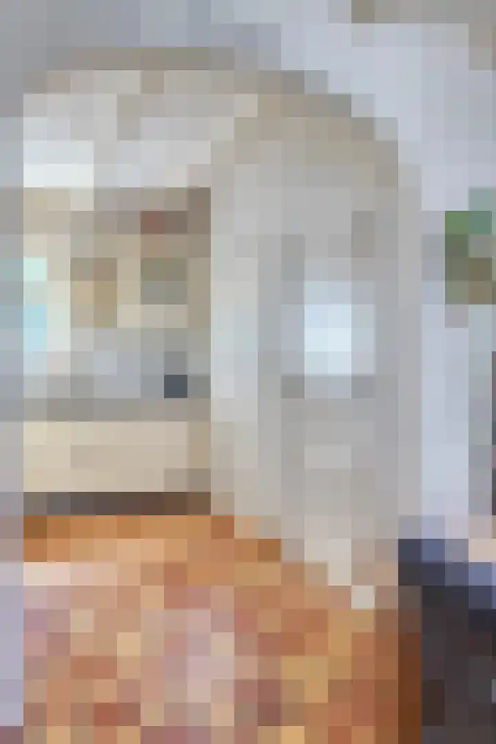 Oostelijke Achterweg 6 Sommelsdijk thumbnail 23