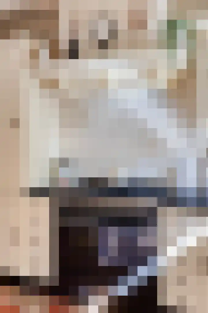 Oostelijke Achterweg 6 Sommelsdijk thumbnail 24