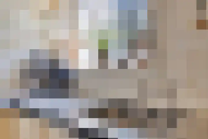 Oostelijke Achterweg 6 Sommelsdijk thumbnail 26