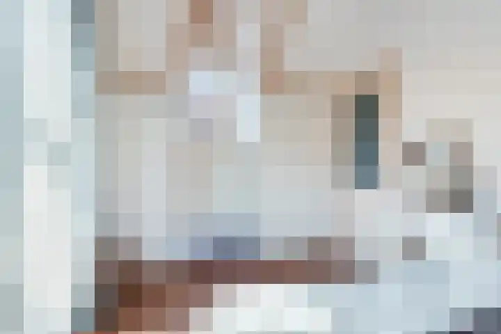 Oostelijke Achterweg 6 Sommelsdijk thumbnail 32