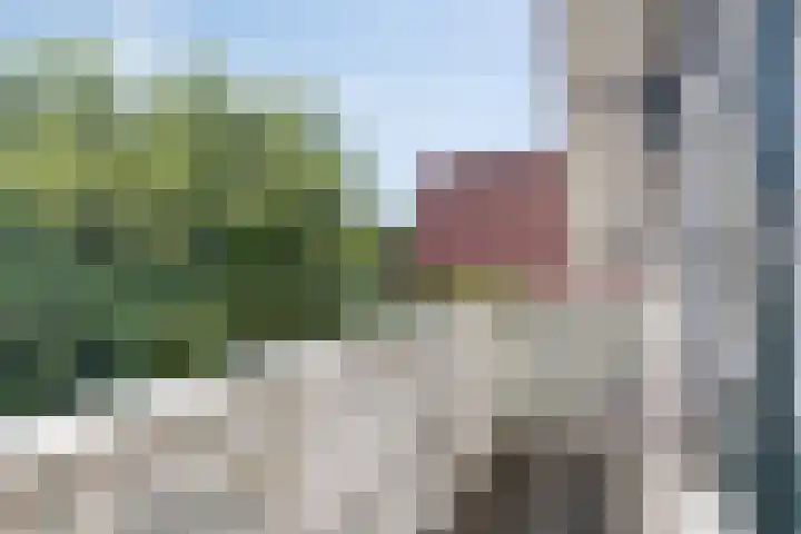 Oostelijke Achterweg 6 Sommelsdijk thumbnail 34