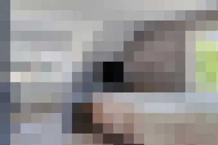 Oostelijke Achterweg 6 Sommelsdijk thumbnail 35