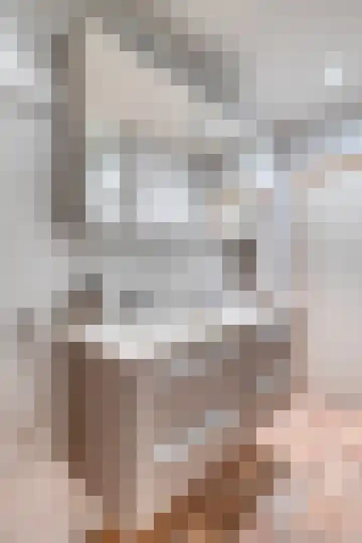 Oostelijke Achterweg 6 Sommelsdijk thumbnail 41