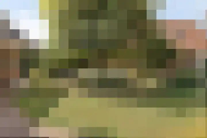 Oostelijke Achterweg 6 Sommelsdijk thumbnail 45