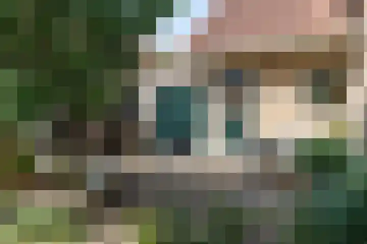 Oostelijke Achterweg 6 Sommelsdijk thumbnail 46