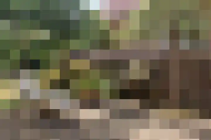 Oostelijke Achterweg 6 Sommelsdijk thumbnail 47