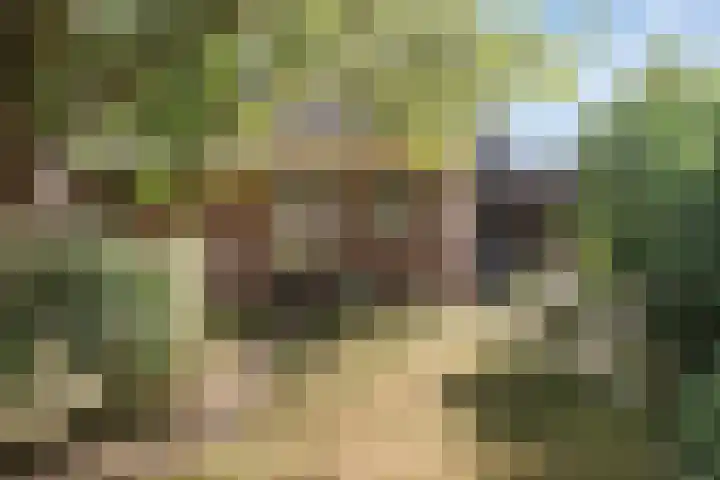Oostelijke Achterweg 6 Sommelsdijk thumbnail 48