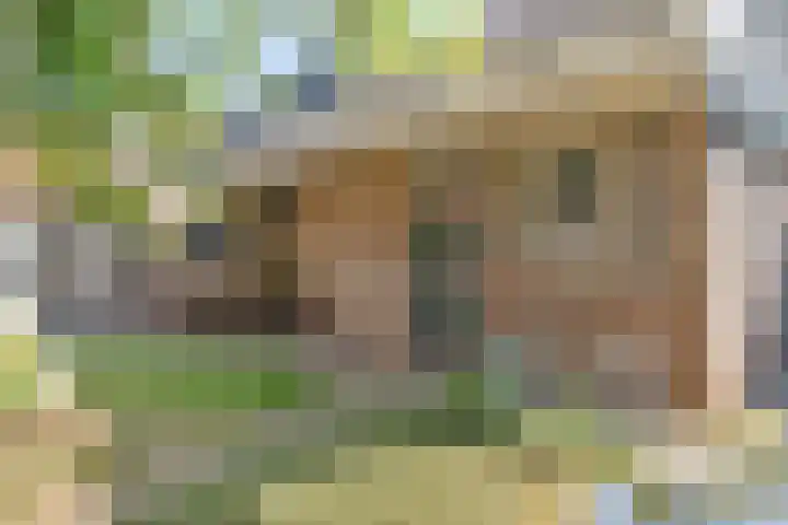 Oostelijke Achterweg 6 Sommelsdijk thumbnail 49