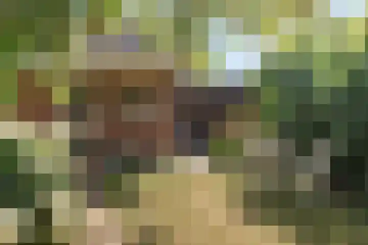 Oostelijke Achterweg 6 Sommelsdijk thumbnail 5