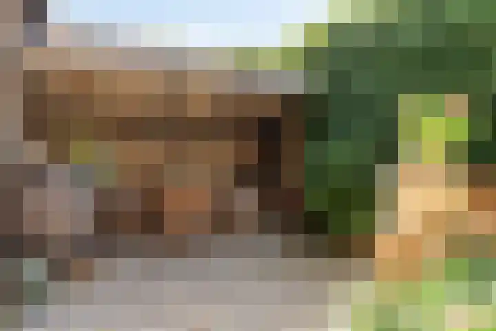 Oostelijke Achterweg 6 Sommelsdijk thumbnail 50