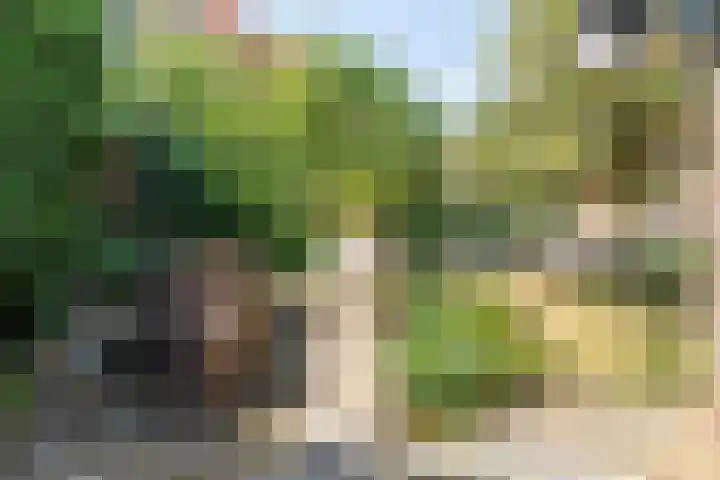 Oostelijke Achterweg 6 Sommelsdijk thumbnail 51
