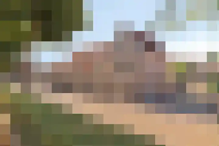 Oostelijke Achterweg 6 Sommelsdijk thumbnail 55
