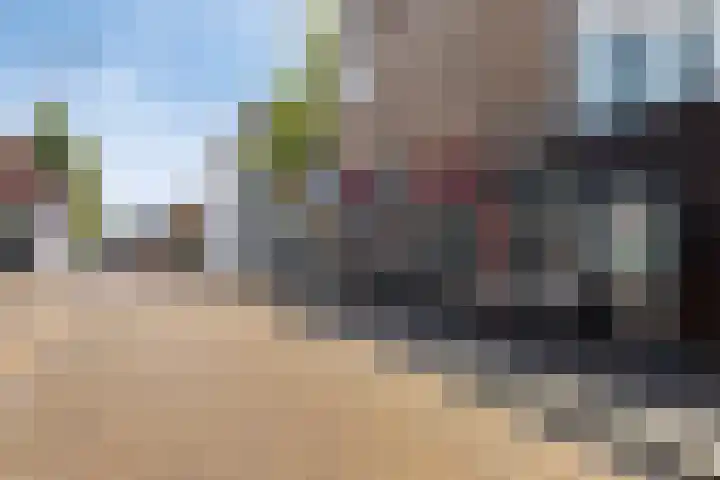 Oostelijke Achterweg 6 Sommelsdijk thumbnail 56