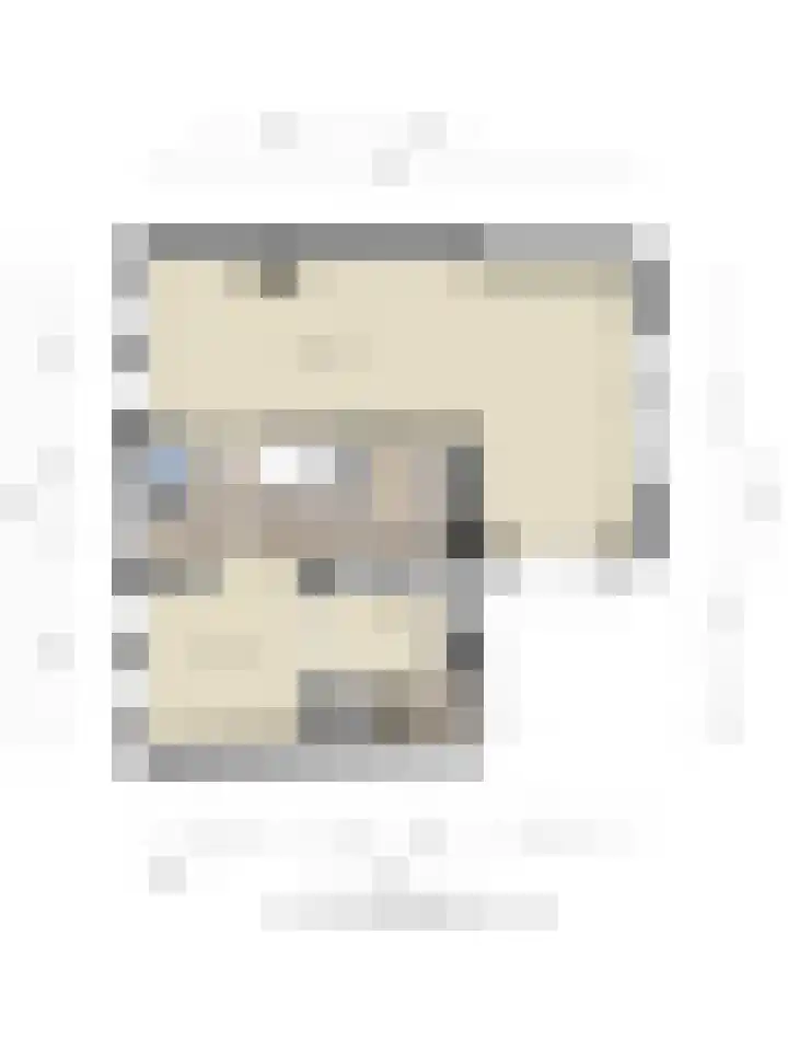 Oostelijke Achterweg 6 Sommelsdijk thumbnail 58