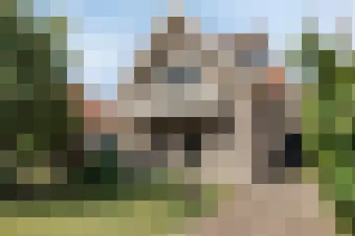 Oostelijke Achterweg 6 Sommelsdijk thumbnail 6