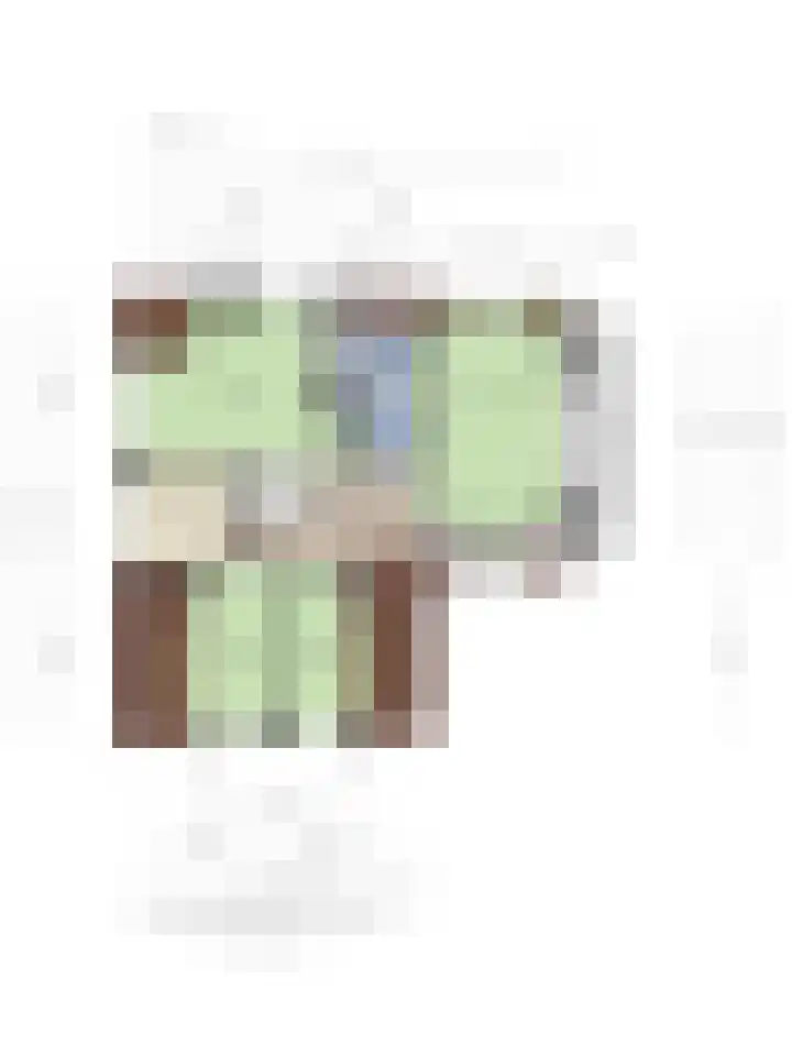 Oostelijke Achterweg 6 Sommelsdijk thumbnail 60