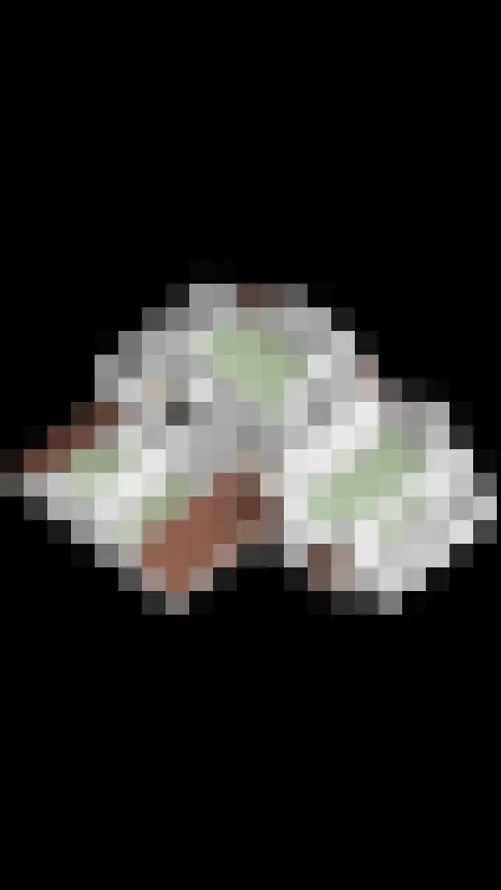 Oostelijke Achterweg 6 Sommelsdijk thumbnail 65