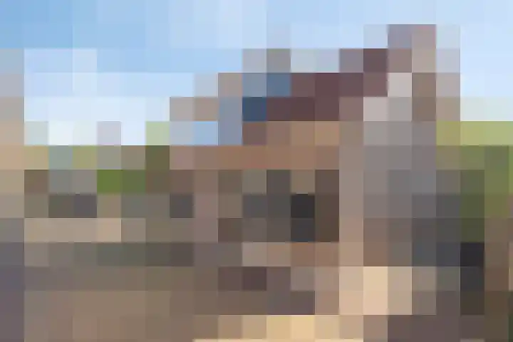 Oostelijke Achterweg 6 Sommelsdijk thumbnail 7