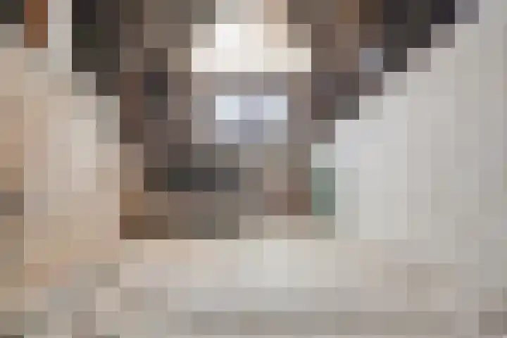 Oostelijke Doorsnee ZZ 20 Emmer-Compascuum thumbnail 16