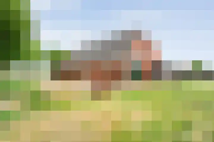 Oostelijke Doorsnee ZZ 20 Emmer-Compascuum thumbnail 17