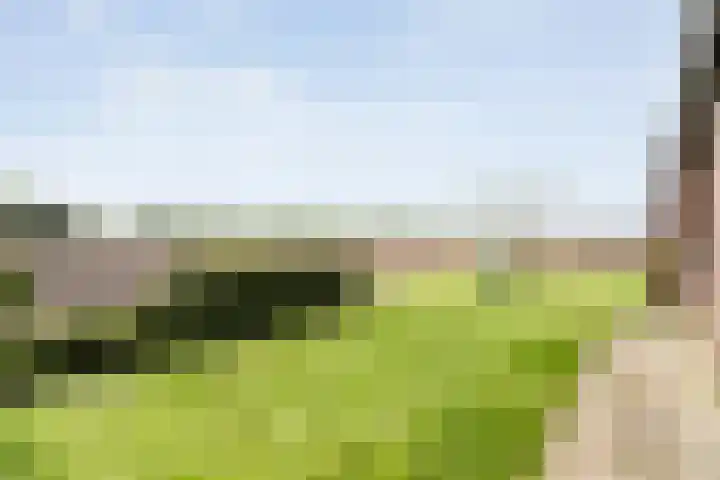 Oostelijke Doorsnee ZZ 20 Emmer-Compascuum thumbnail 18