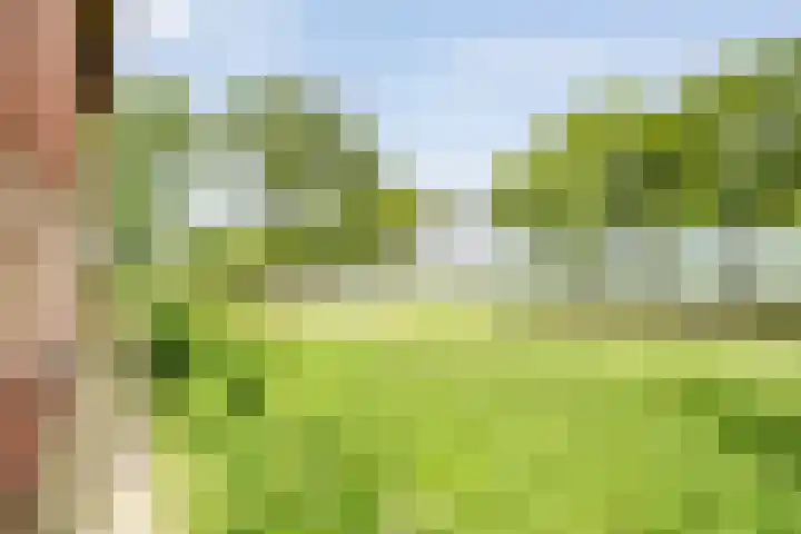 Oostelijke Doorsnee ZZ 20 Emmer-Compascuum thumbnail 19