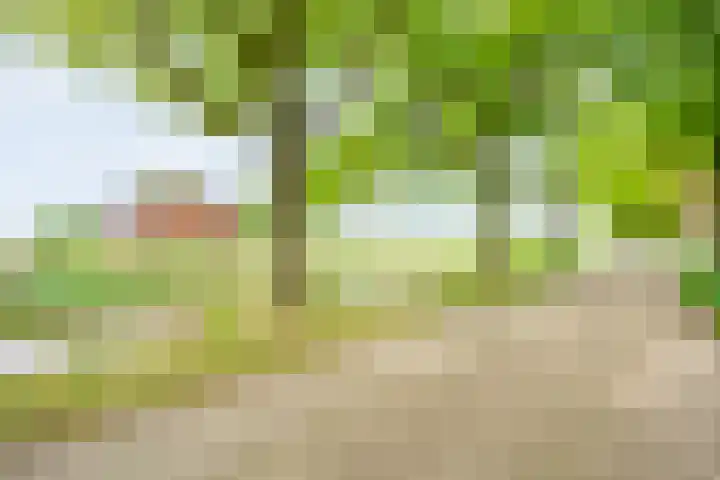 Oostelijke Doorsnee ZZ 20 Emmer-Compascuum thumbnail 22