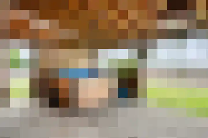 Oostelijke Doorsnee ZZ 20 Emmer-Compascuum thumbnail 4