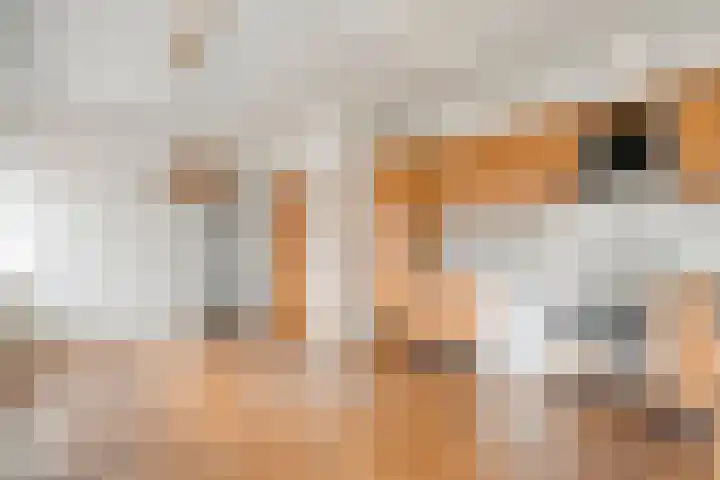 Oostelijke Doorsnee ZZ 20 Emmer-Compascuum thumbnail 6