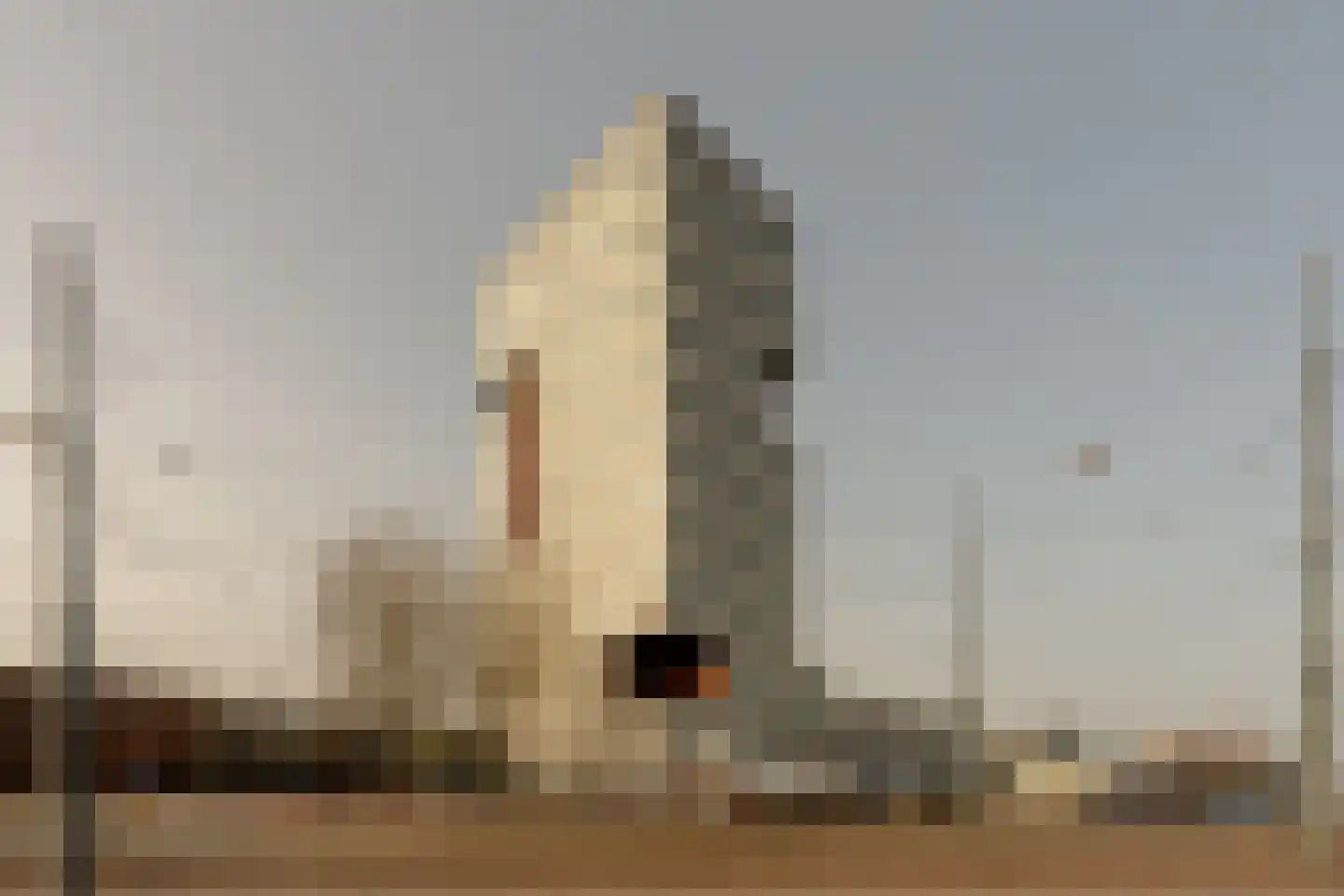 Oostelijke Handelskade 1097 Amsterdam thumbnail 27