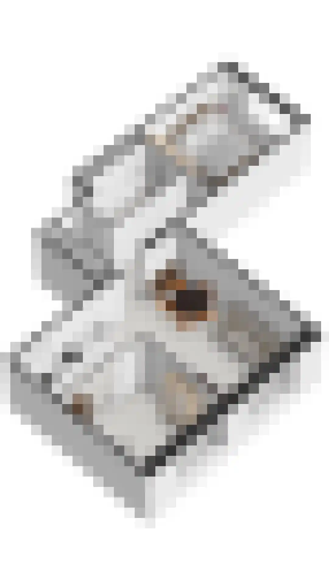 Oostelijke Handelskade 1097 Amsterdam thumbnail 33