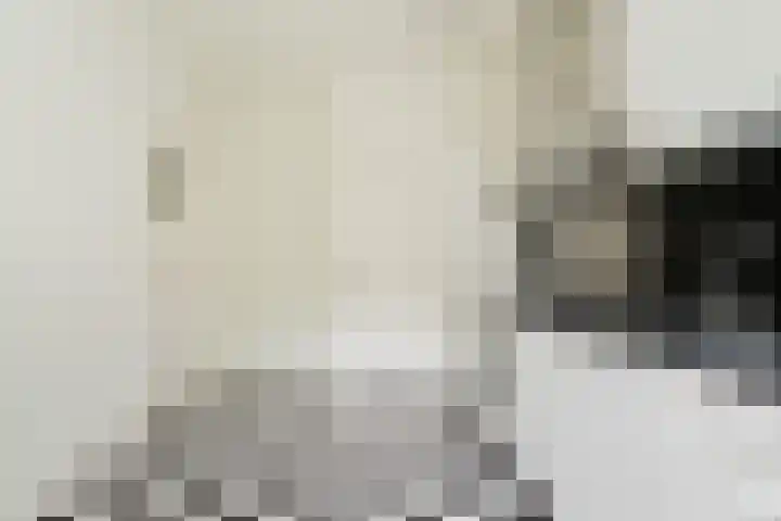 Oostelijke Handelskade 16 Amsterdam thumbnail 10