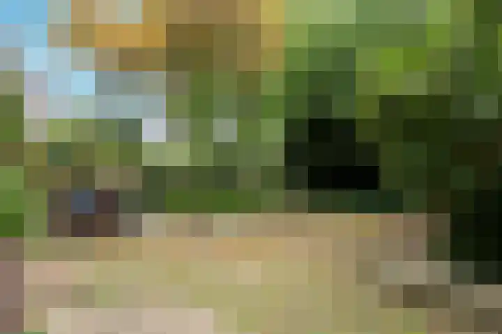 Oostelijke Handelskade 16 Amsterdam thumbnail 32
