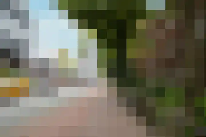 Oostelijke Handelskade 16 Amsterdam thumbnail 36