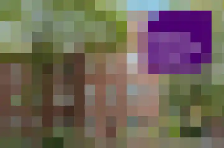 Oostelijke Handelskade 16 Amsterdam thumbnail 40
