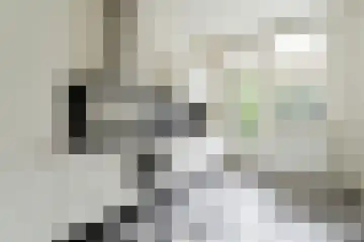 Oostelijke Handelskade 16 Amsterdam thumbnail 9