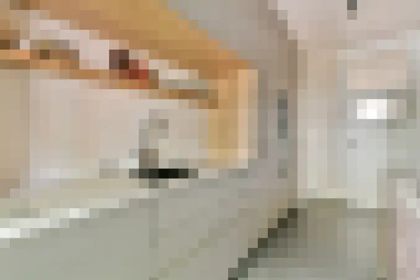 Oostelijke Handelskade 18 1 Amsterdam thumbnail 6