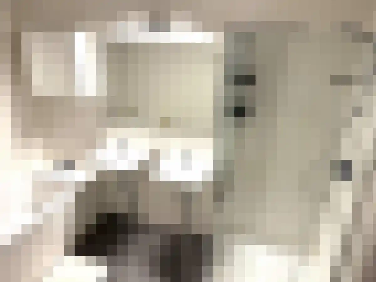 Oostelijke Handelskade 765 Amsterdam thumbnail 6
